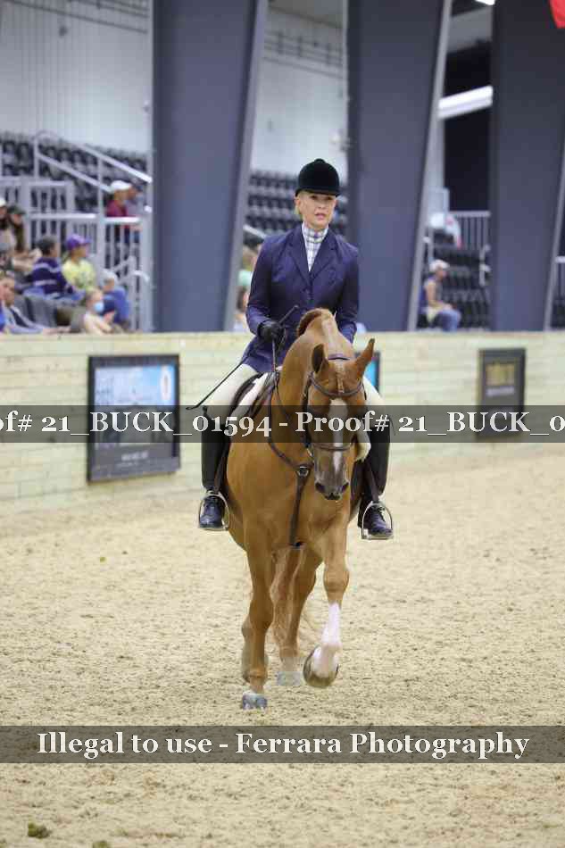 Proof 21_BUCK_01594