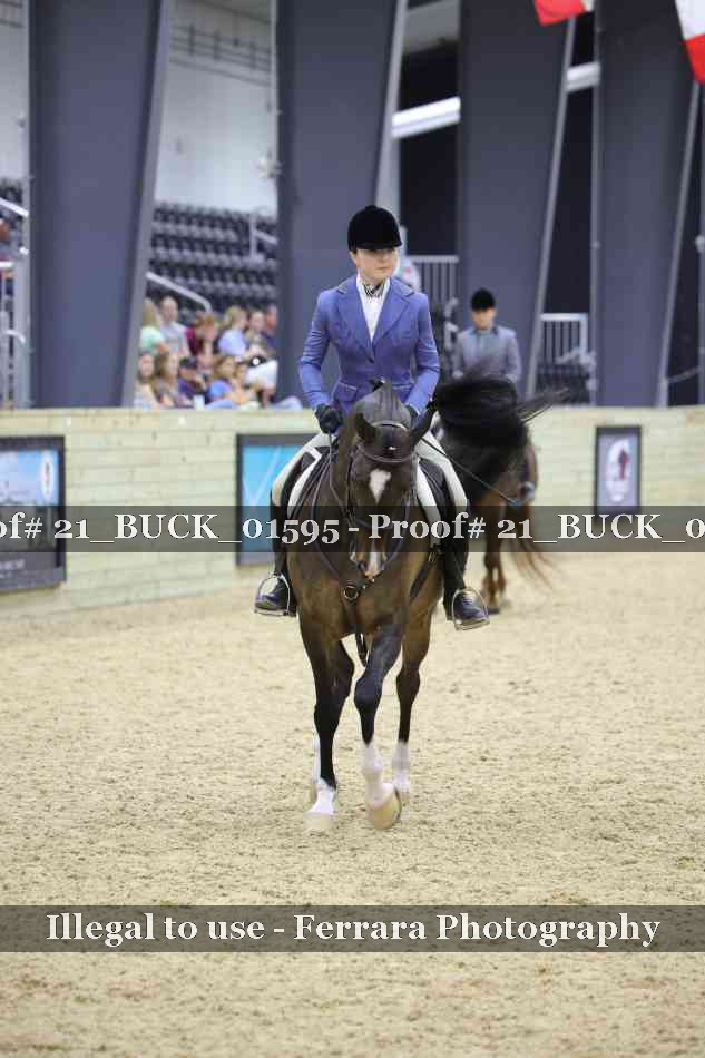 Proof 21_BUCK_01595