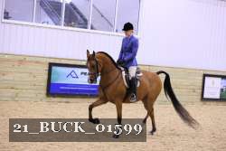 21_BUCK_01599 proof