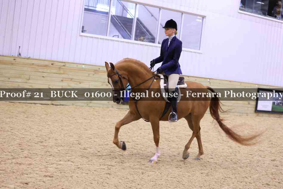 Proof 21_BUCK_01600