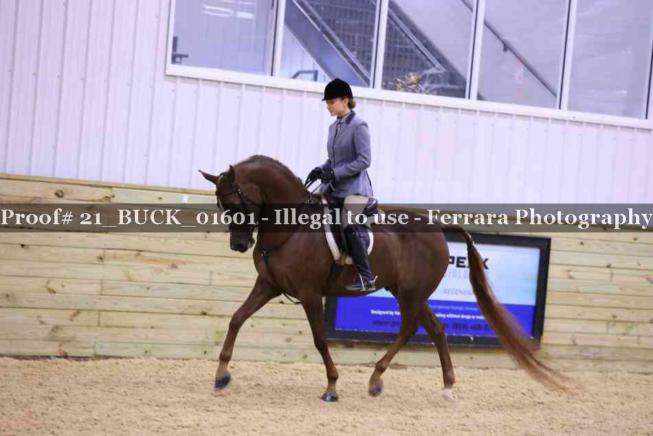 Proof 21_BUCK_01601