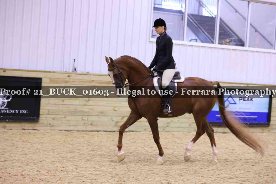 Proof 21_BUCK_01603