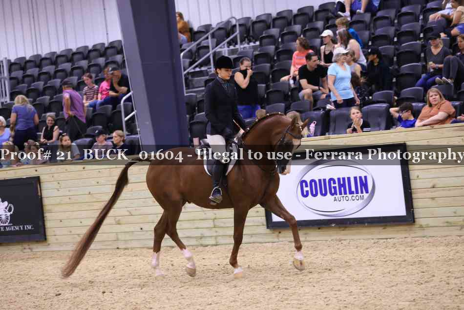 Proof 21_BUCK_01604