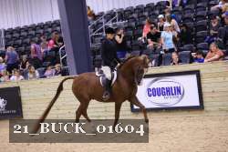 21_BUCK_01604 proof