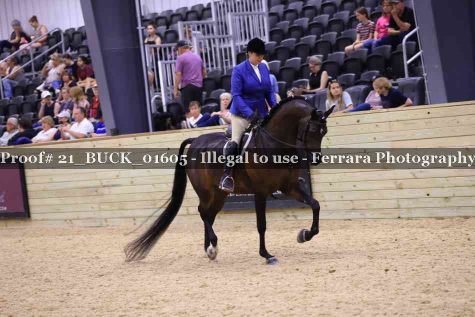 Proof 21_BUCK_01605