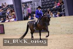 21_BUCK_01605 proof