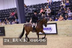 21_BUCK_01606 proof