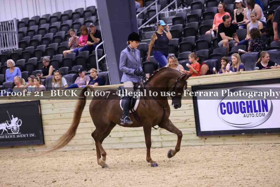 Proof 21_BUCK_01607