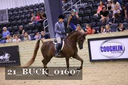 21_BUCK_01607 proof