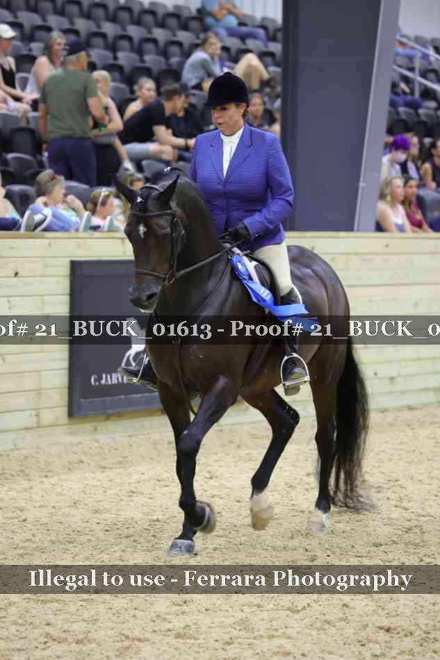 Proof 21_BUCK_01613