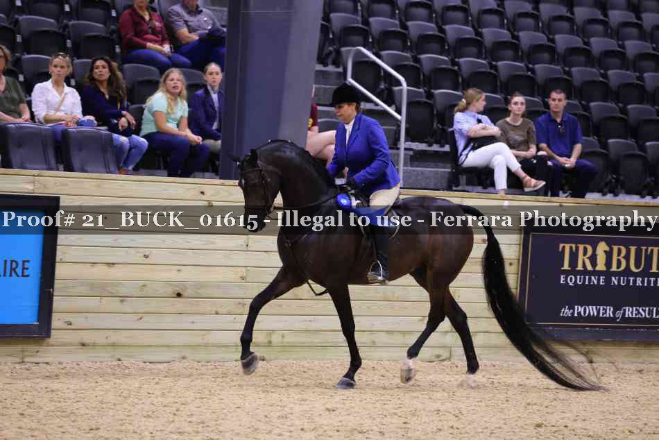 Proof 21_BUCK_01615