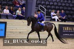 21_BUCK_01615 proof