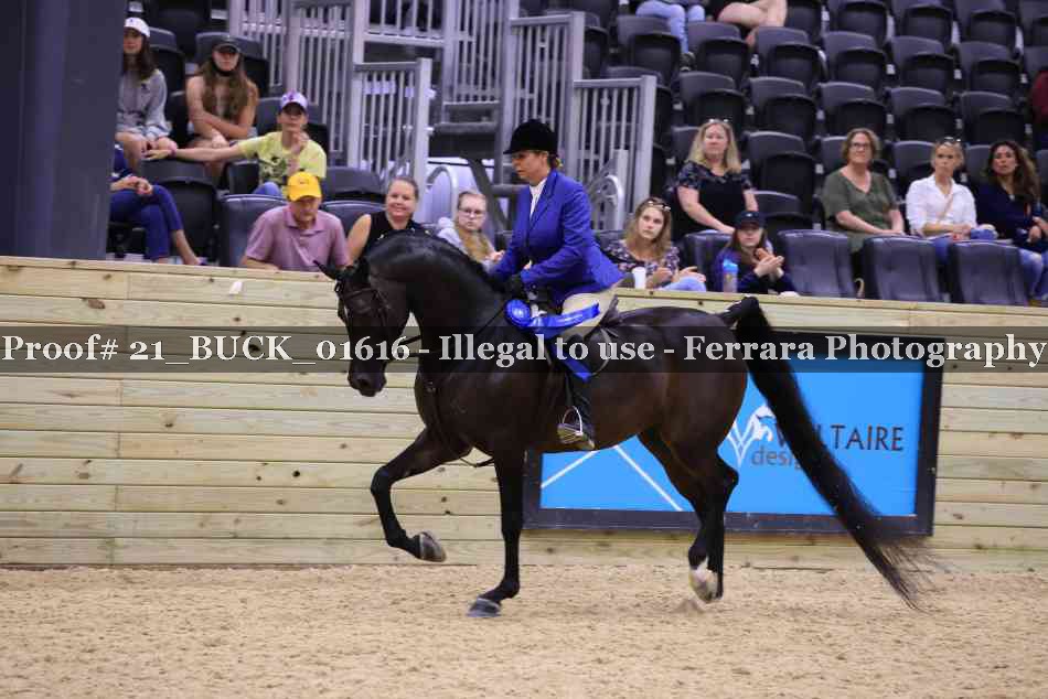 Proof 21_BUCK_01616