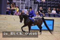 21_BUCK_01616 proof