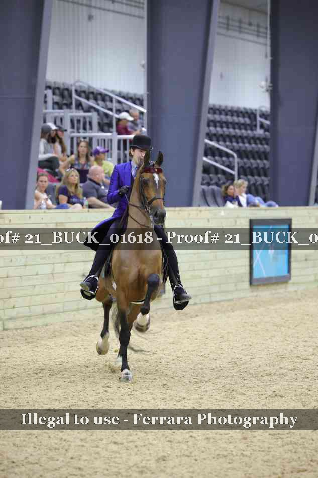 Proof 21_BUCK_01618