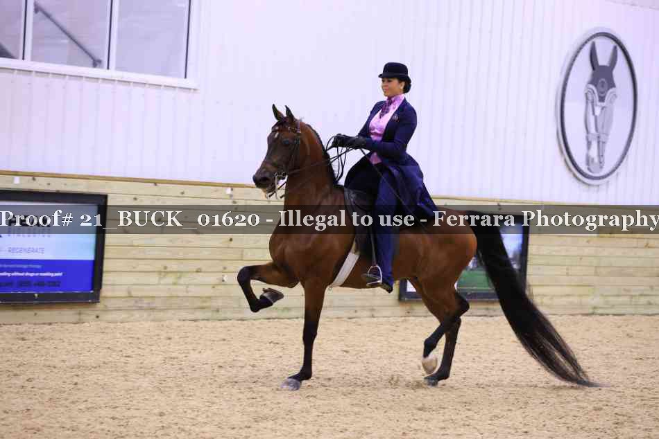 Proof 21_BUCK_01620