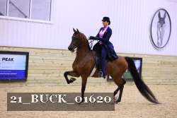 21_BUCK_01620 proof