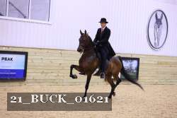 21_BUCK_01621 proof
