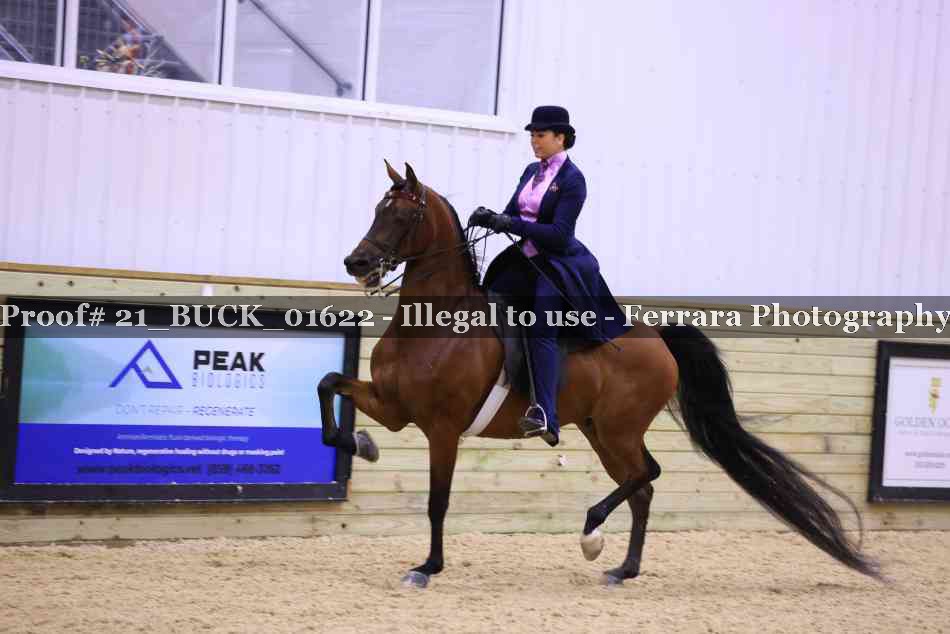 Proof 21_BUCK_01622