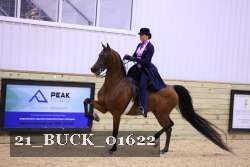21_BUCK_01622 proof