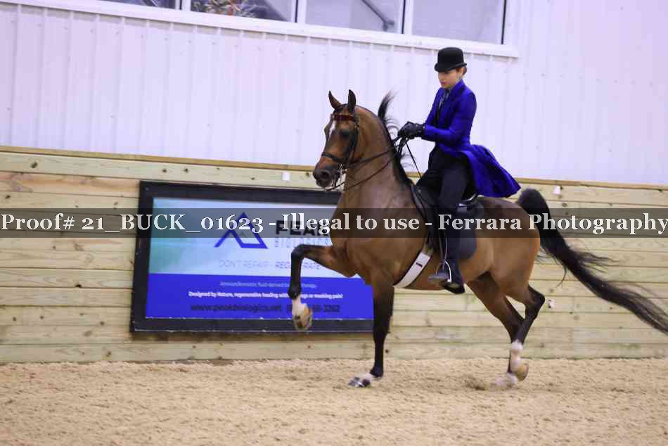 Proof 21_BUCK_01623