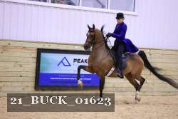 21_BUCK_01623 proof