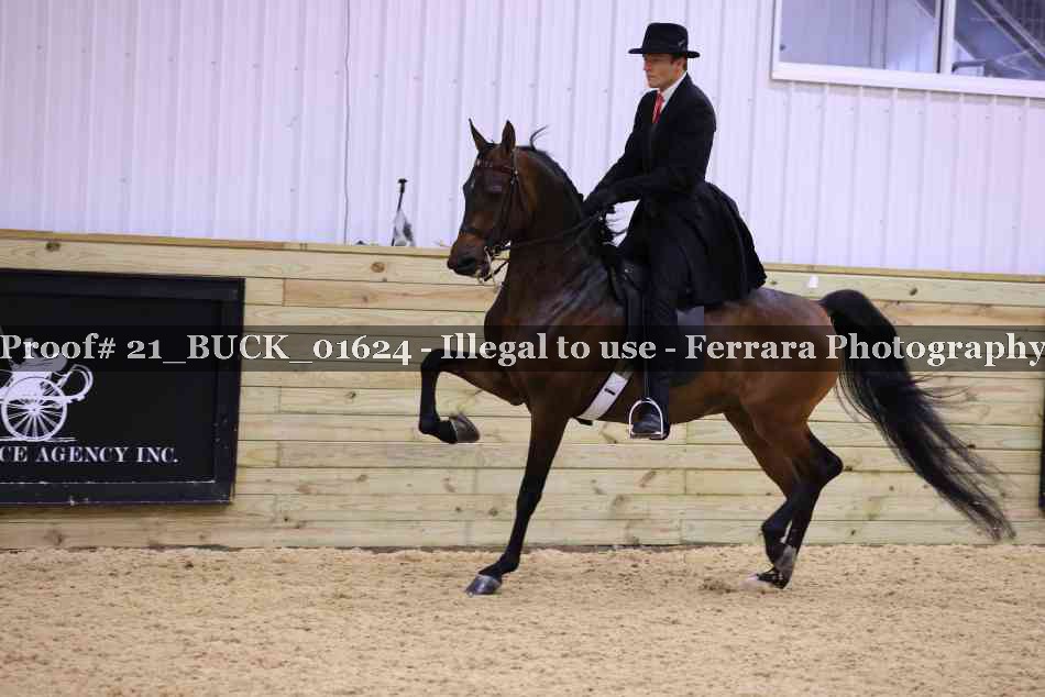 Proof 21_BUCK_01624