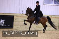 21_BUCK_01624 proof
