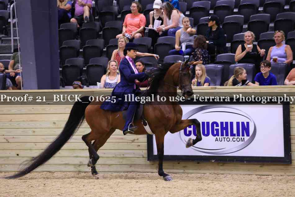 Proof 21_BUCK_01625