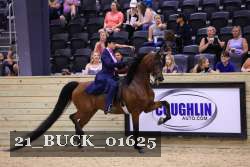 21_BUCK_01625 proof