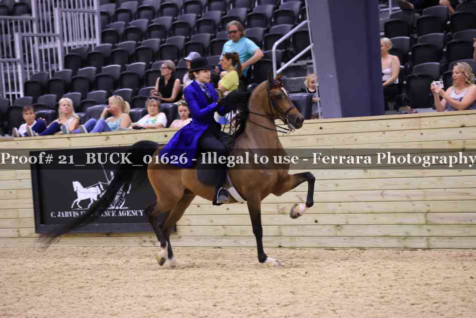 Proof 21_BUCK_01626