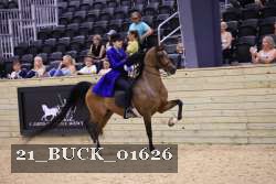 21_BUCK_01626 proof