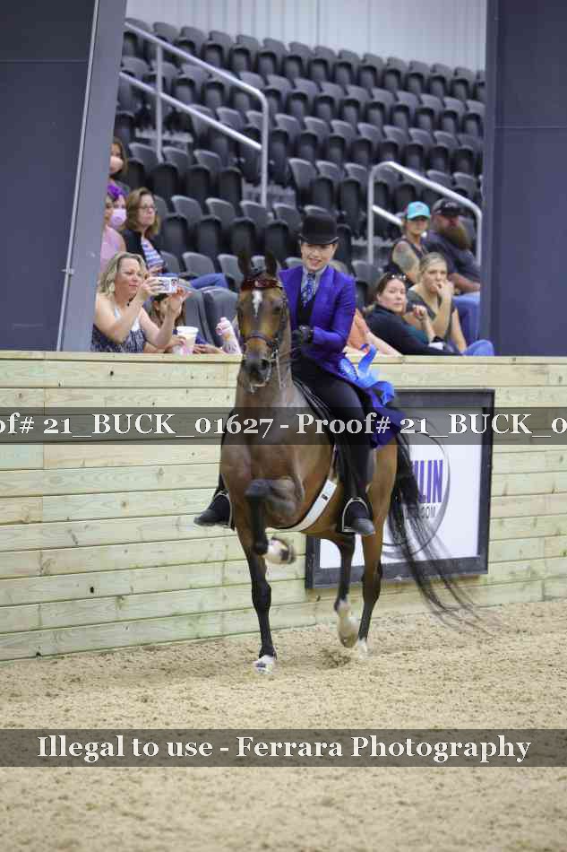 Proof 21_BUCK_01627