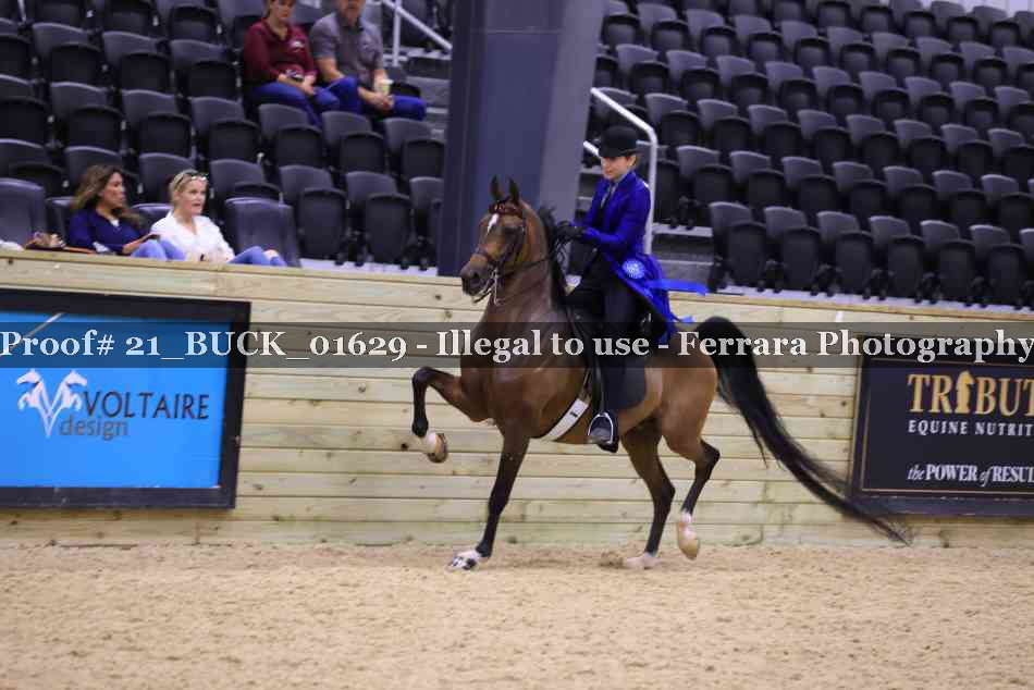 Proof 21_BUCK_01629