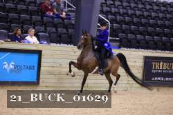 21_BUCK_01629 proof