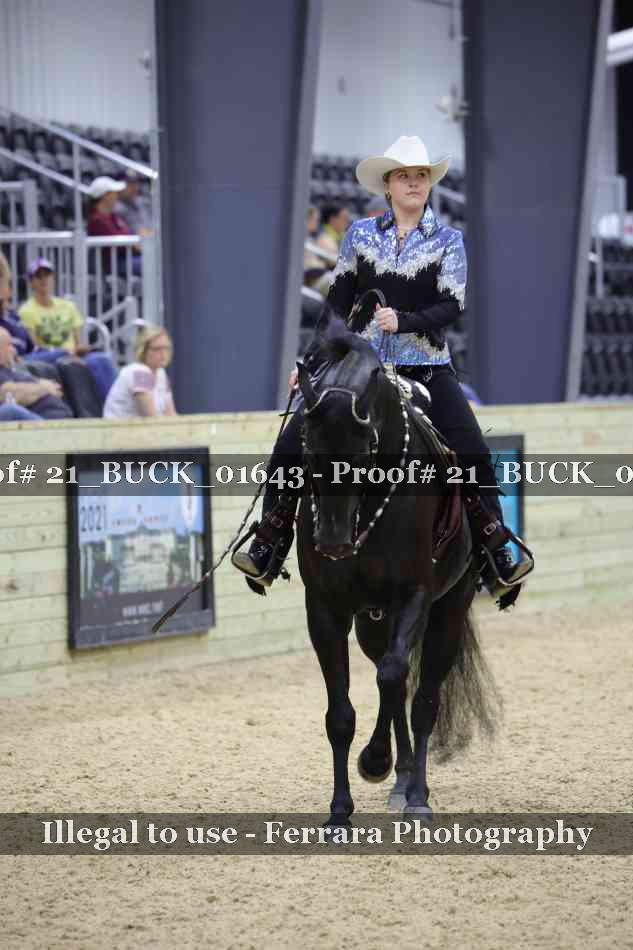Proof 21_BUCK_01643