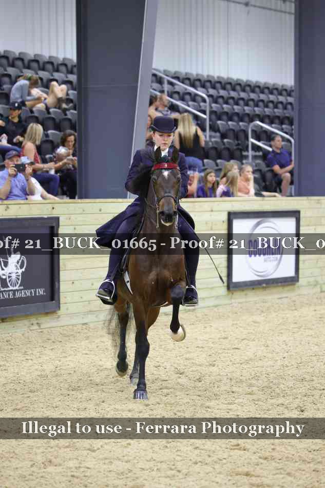 Proof 21_BUCK_01665