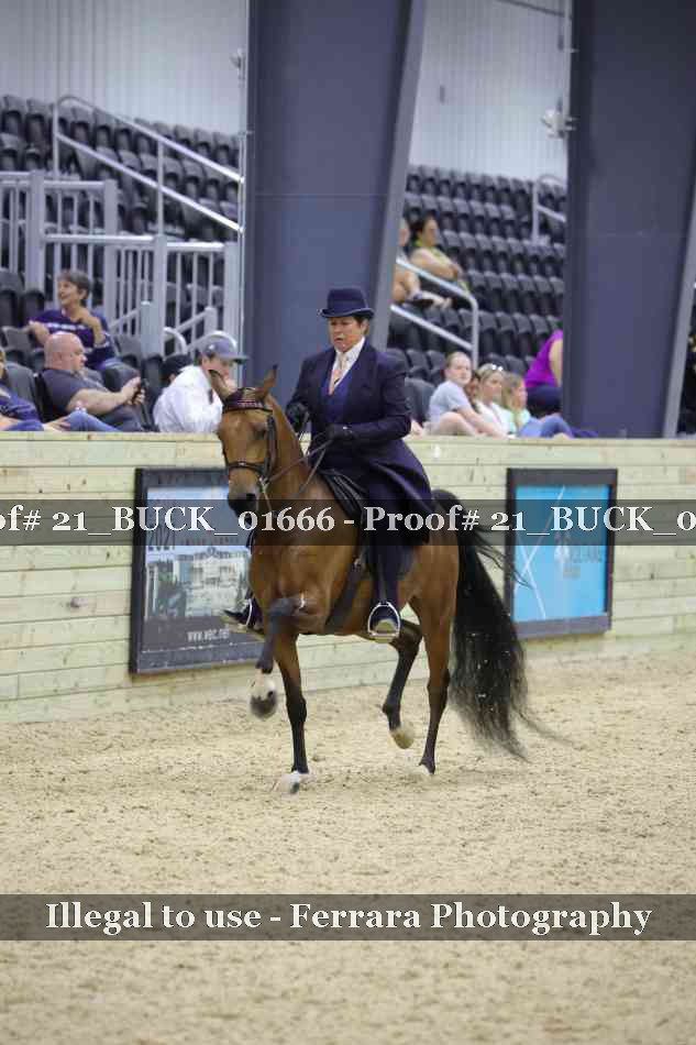 Proof 21_BUCK_01666