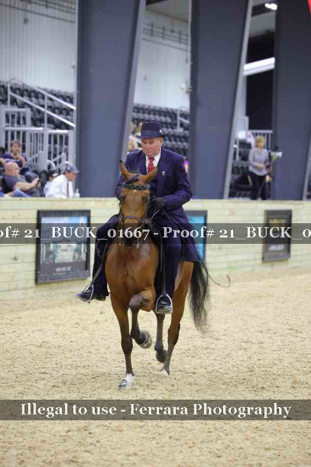 Proof 21_BUCK_01667