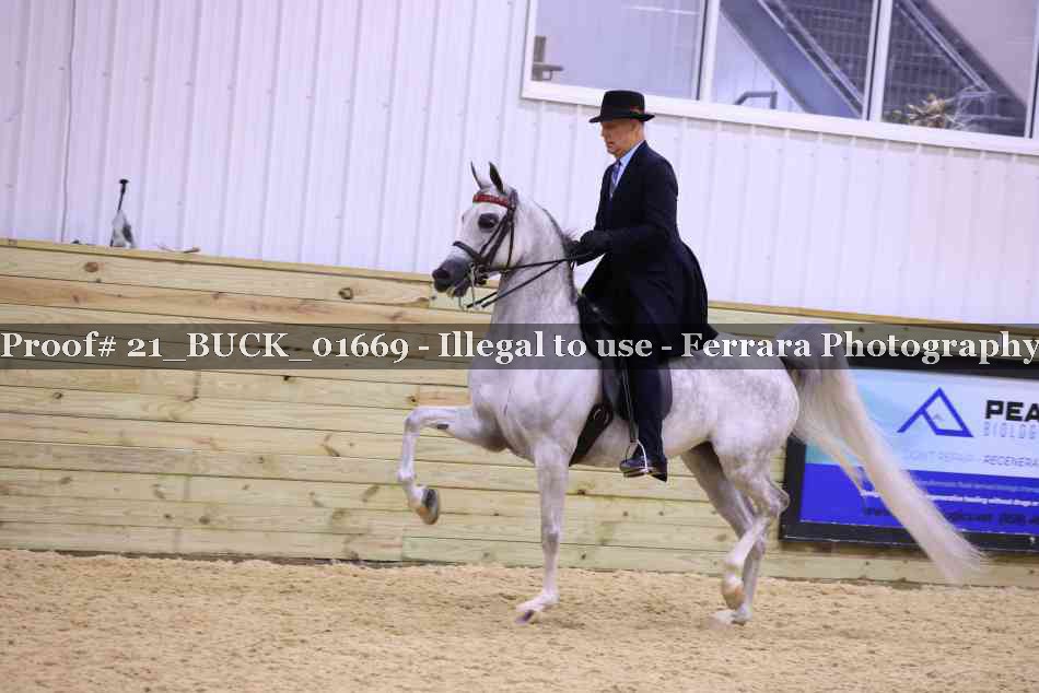 Proof 21_BUCK_01669