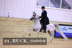 21_BUCK_01669 proof