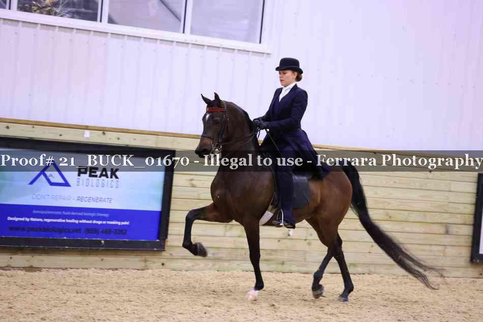 Proof 21_BUCK_01670