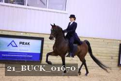 21_BUCK_01670 proof