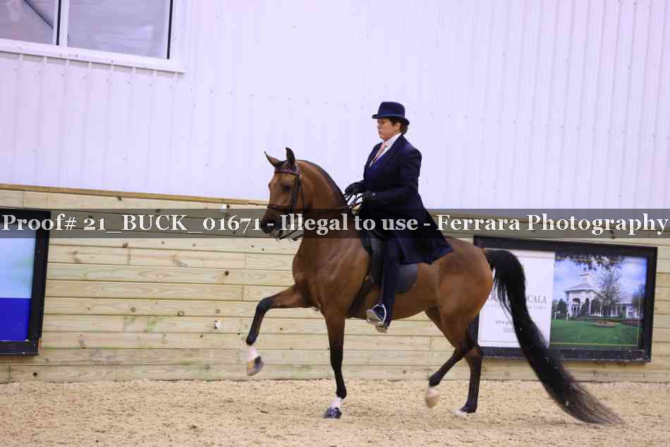Proof 21_BUCK_01671