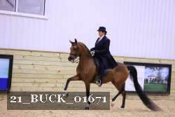 21_BUCK_01671 proof