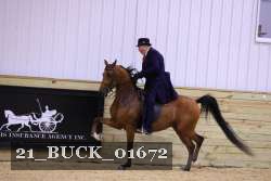 21_BUCK_01672 proof