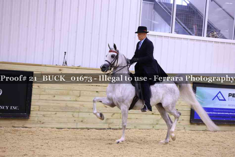 Proof 21_BUCK_01673