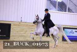 21_BUCK_01673 proof