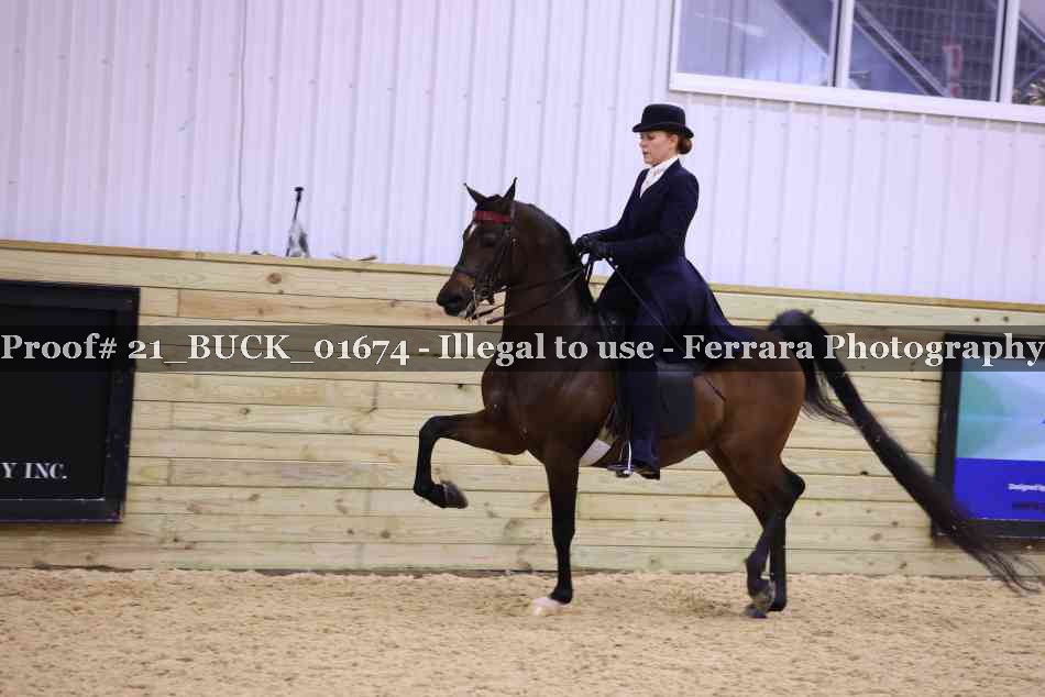 Proof 21_BUCK_01674