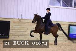 21_BUCK_01674 proof